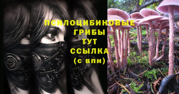 дживик Зерноград
