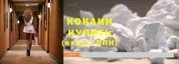 дживик Зерноград